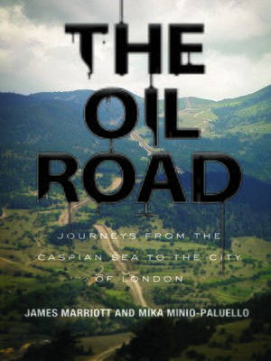 cover image of The Oil Road